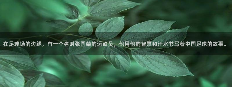 欧亿体育官方正版app集团官网网址:在足球场的边缘,有一个名